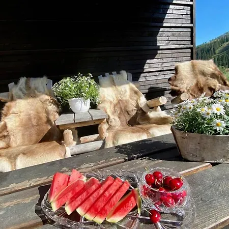 Voss Exclusive Mountain Villa * Skulestadmo